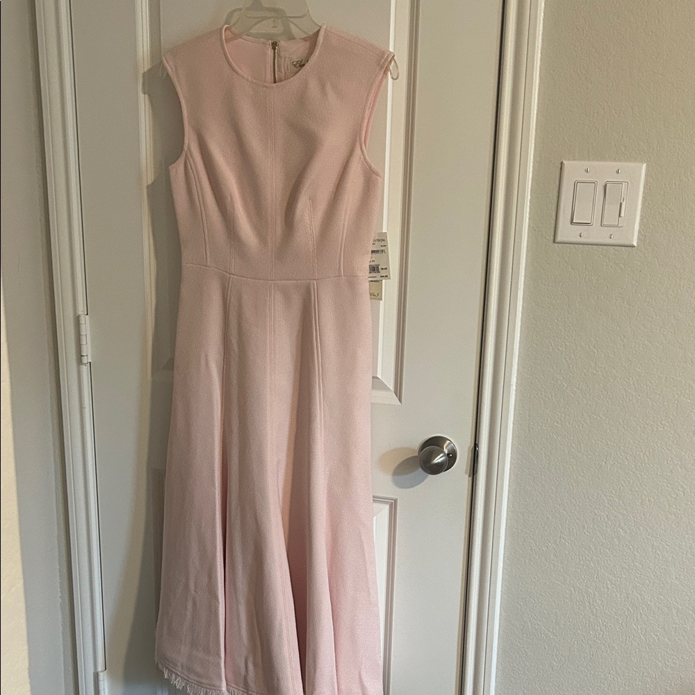 Eliza J Soft Pink Sleeveless Maxi Dress
